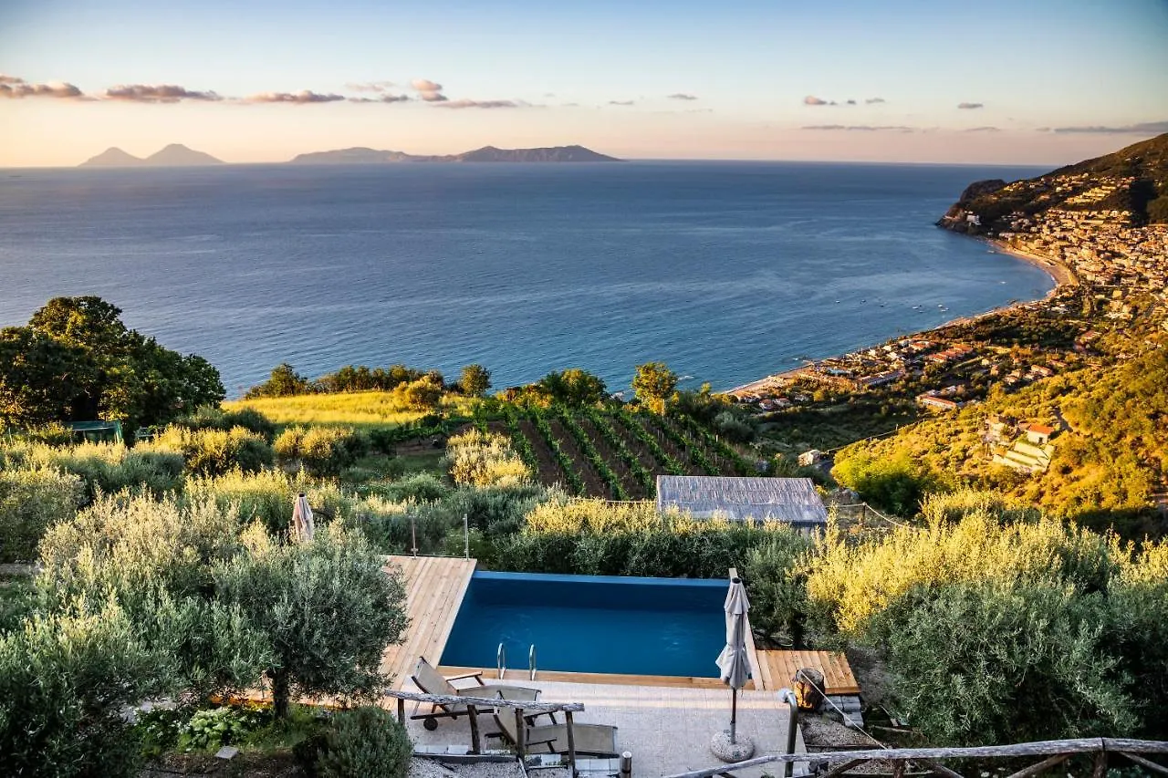 Just Be Bed and Breakfast Piraino