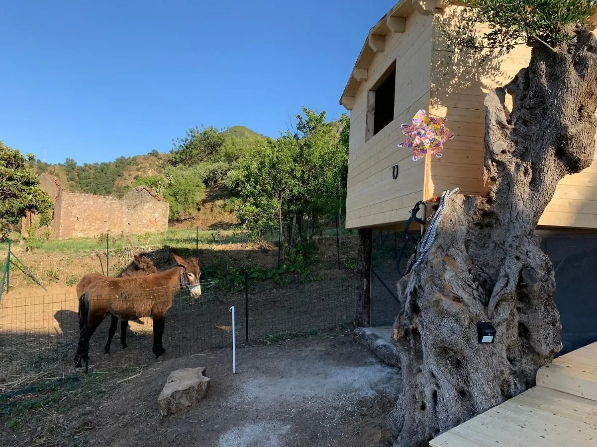 Just Be Bed & Breakfast Piraino 3*,  Italy